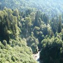 Rize — Ayder Plateau