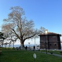 Yalova — Yürüyen Köşk Yalova