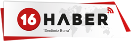 16haber.com