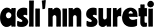 Aslininsureti.com