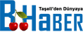 Basyaylahaber.com