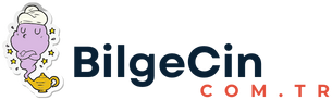 Bilgecin.com.tr