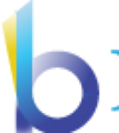 Bilgio.net