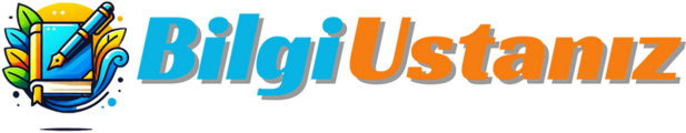 Bilgiustaniz.com
