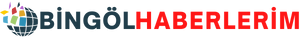Bingolhaberlerim.com.tr