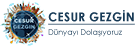 Cesurgezgin.com