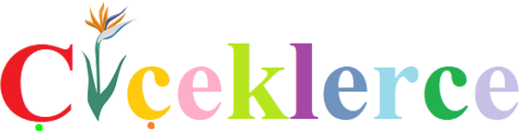 Ciceklerce.com