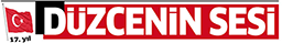 Duzceninsesi.com.tr