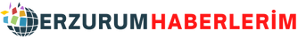 Erzurumhaberlerim.com.tr