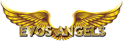 Evosangels.com