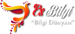 Exbilgi.com