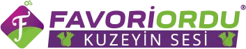 Favoriordu.com