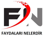 Faydalarinelerdir.com