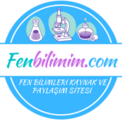 Fenbilimim.com