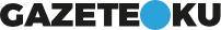 Gazeteoku.com