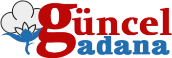 Gunceladana.com
