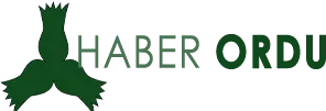 Haberordu.net