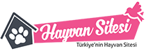 Hayvansitesi.com