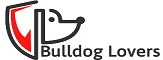 Poccik.com