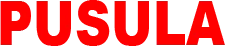 Pusulagazetesi.com.tr