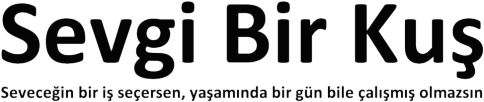 Sevgibirkus.com.tr