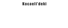 Sonkalekocaeli.com