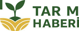 Tarimhaberi.com