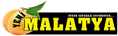 Yenimalatya.com.tr