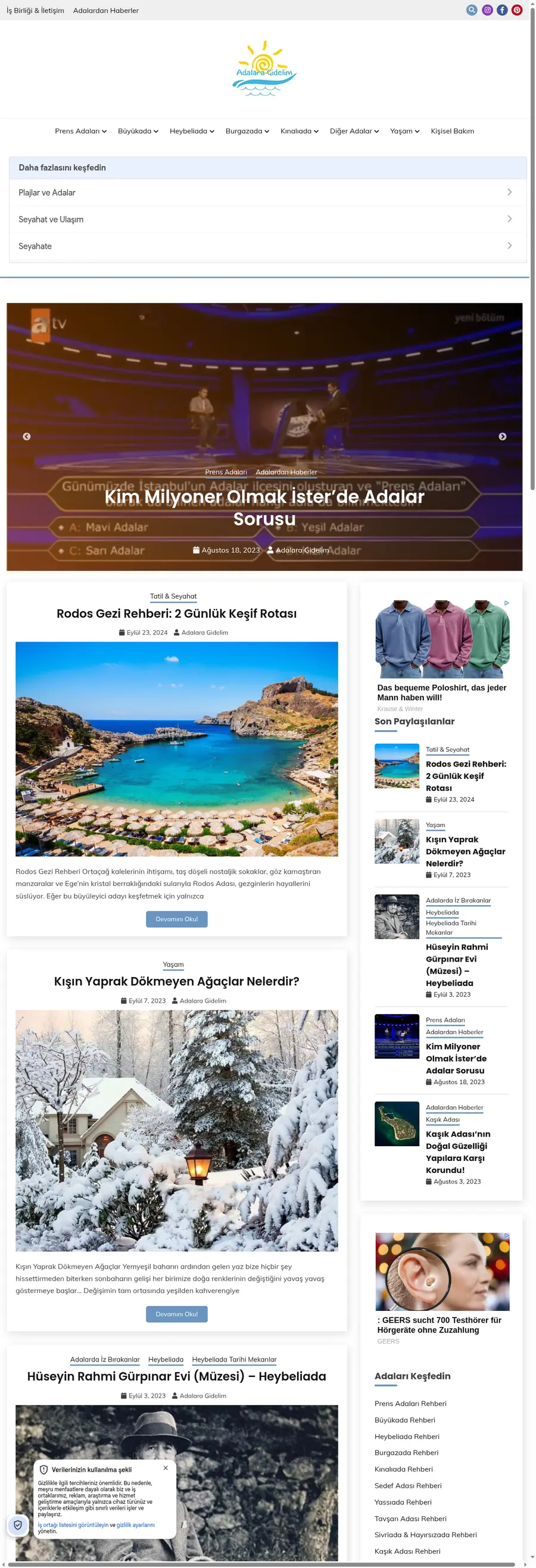 Adalaragidelim.com önizleme