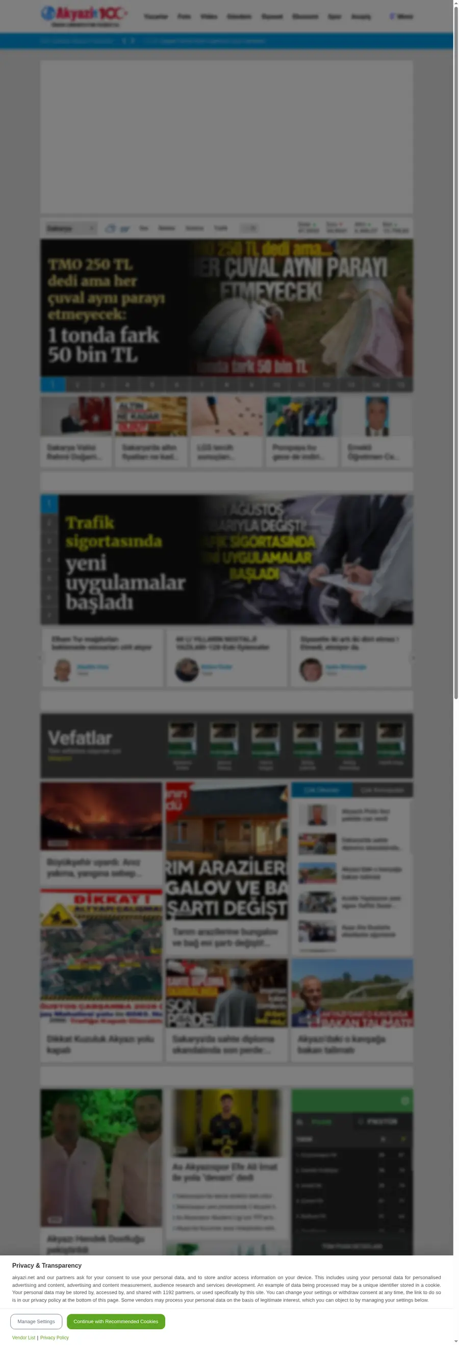 Akyazi.net önizleme