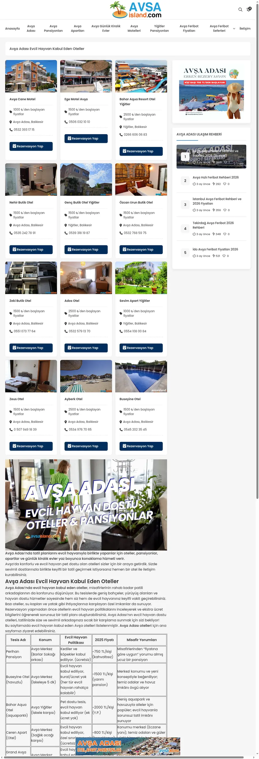 Avsaisland.com önizleme
