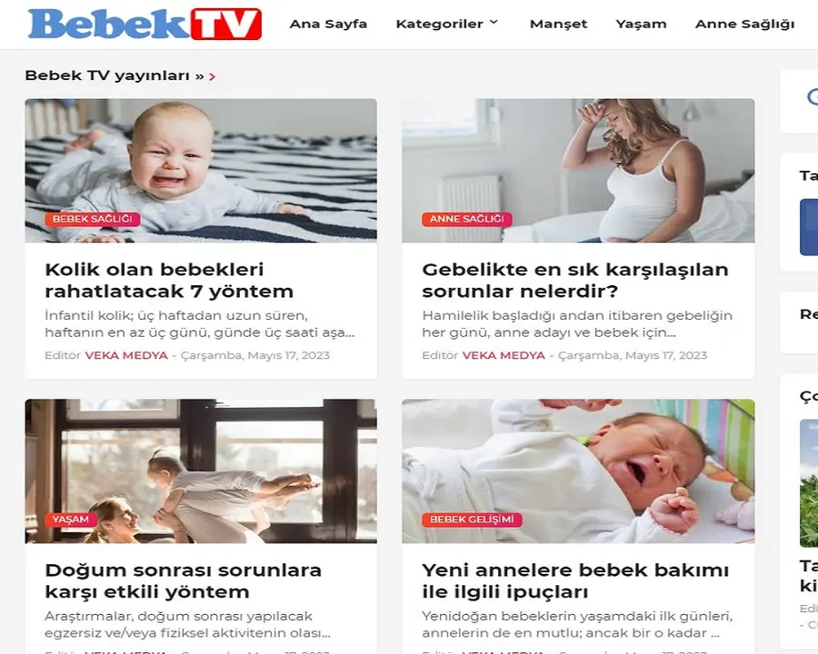 Bebektelevizyonu.com önizleme