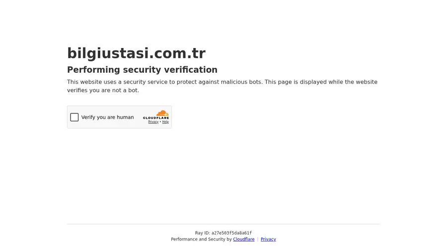 Bilgiustasi.com.tr önizleme
