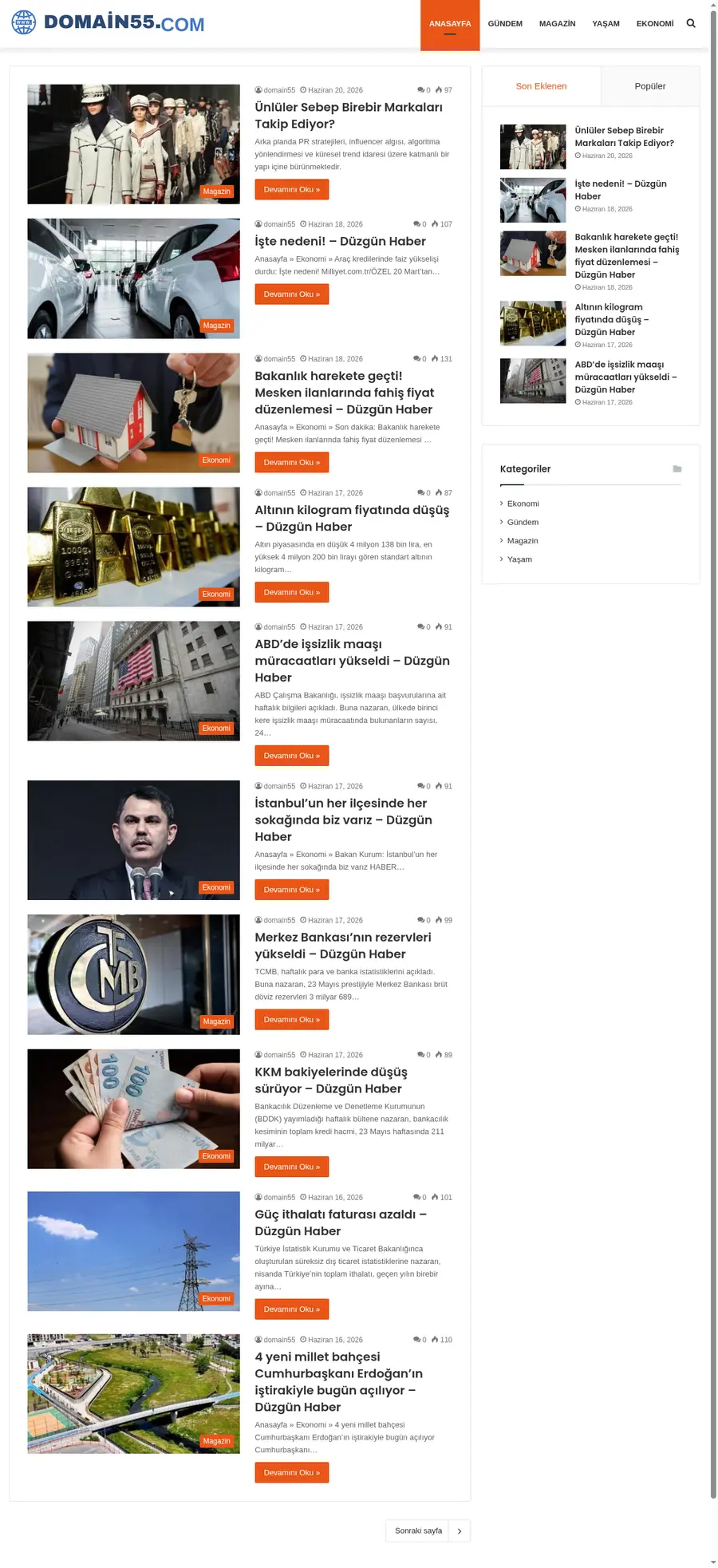 Domain55.com önizleme