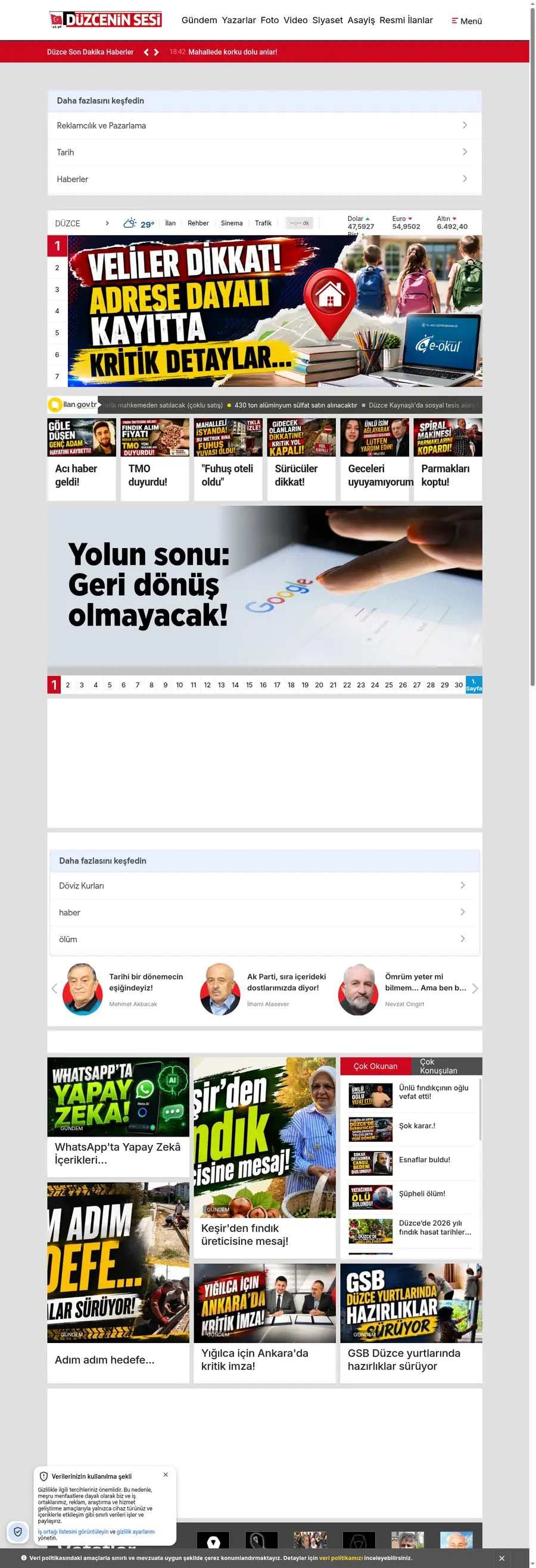 Duzceninsesi.com.tr önizleme