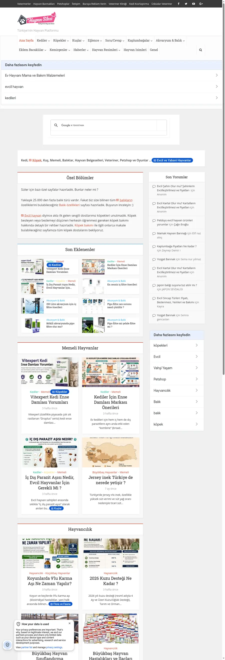 Hayvansitesi.com önizleme