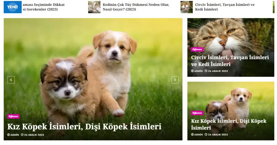 Kedilerle.com.tr önizleme