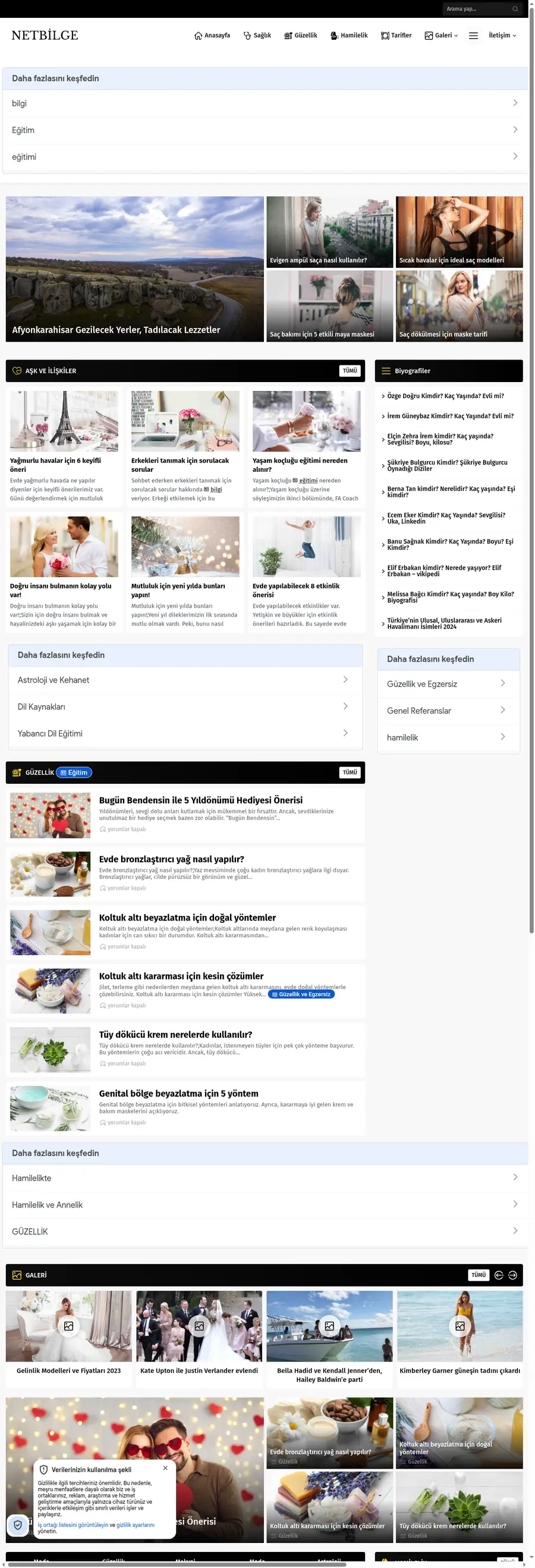 Netbilge.com önizleme