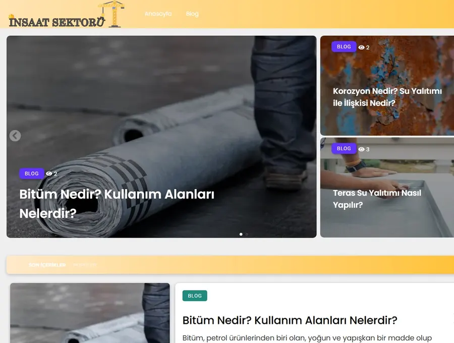 Nsaatsektoru.net önizleme
