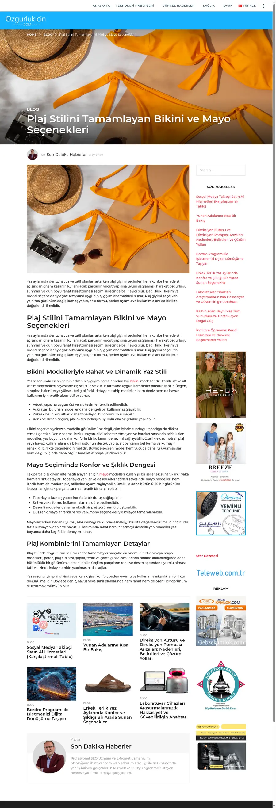 Ozgurlukicin.com önizleme