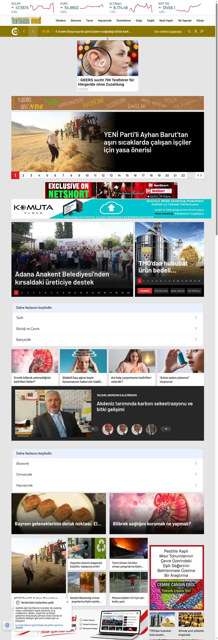 Tariminsesi.com.tr önizleme