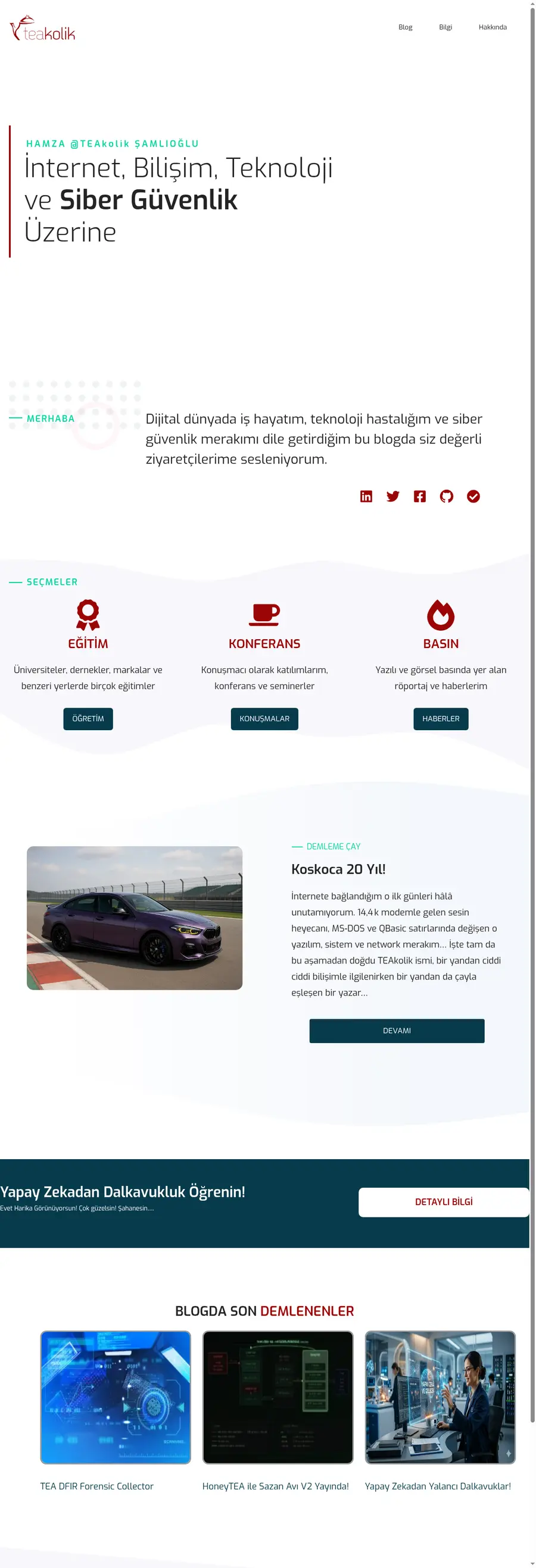 Teakolik.com önizleme