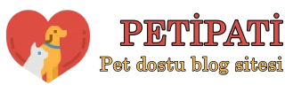 Petipati.net Tanıtım Yazısı