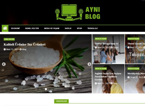 ayniblog com 1