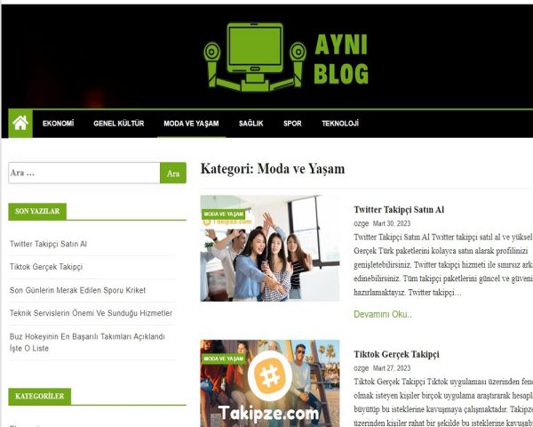 ayniblog com 2