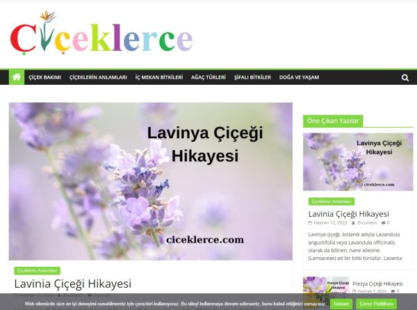 ciceklerce.com