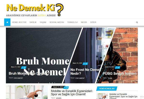 nedemekki.com