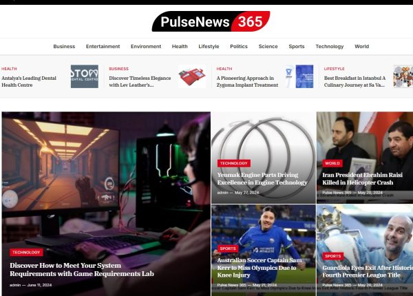 pulsenews365.com 1