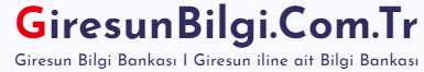 Giresunbilgi.com.tr Tanıtım Yazısı