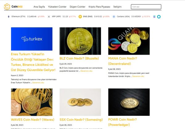 Coininiz.com
